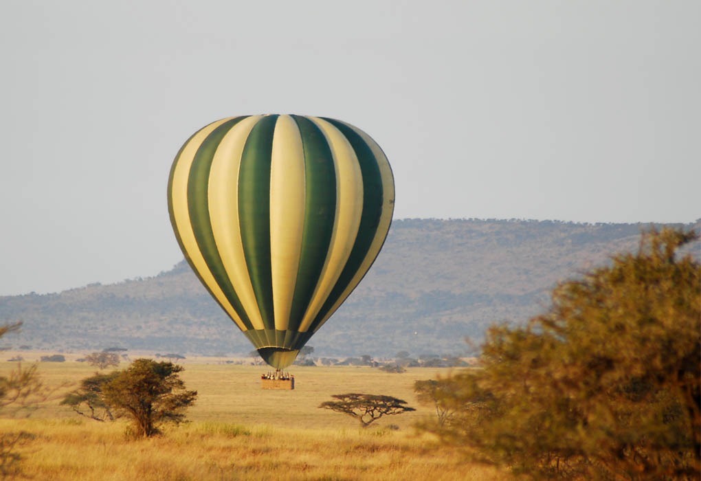 Balloon-safaris
