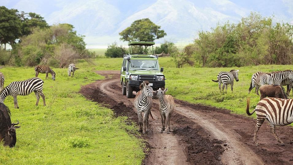 Discover Memorable Adventures with Luxury Safari and Tours in Tanzania
