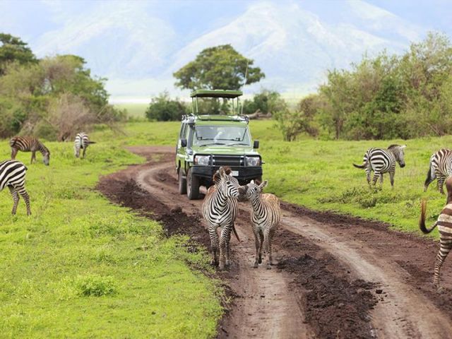 Discover Memorable Adventures with Luxury Safari and Tours in Tanzania