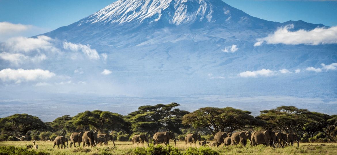 Mount-Kilimanjaro-Pictures-with-Safaris