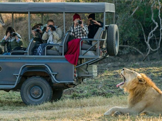 Safari and Adventure in Tanzania