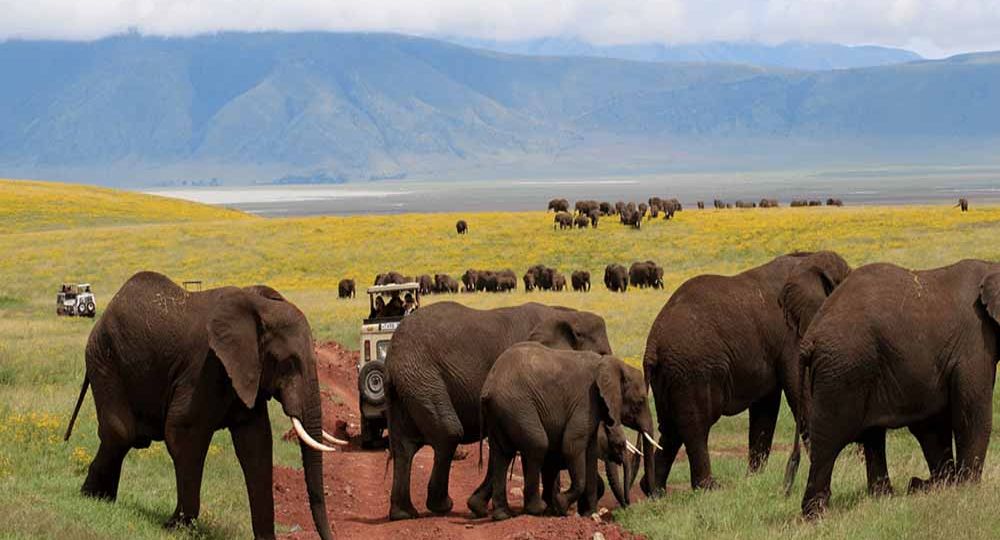 Top 5 Travel Tips to Tanzania