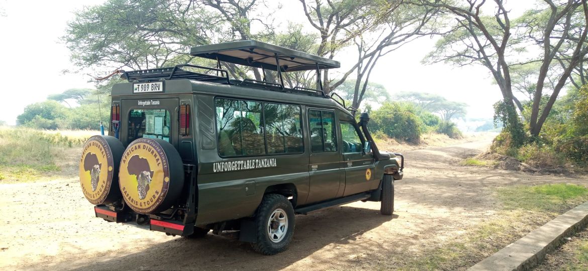 Tanzania Day Trip Safaris