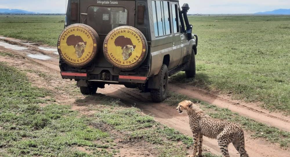 Safari from Mwanza to the Serengeti
