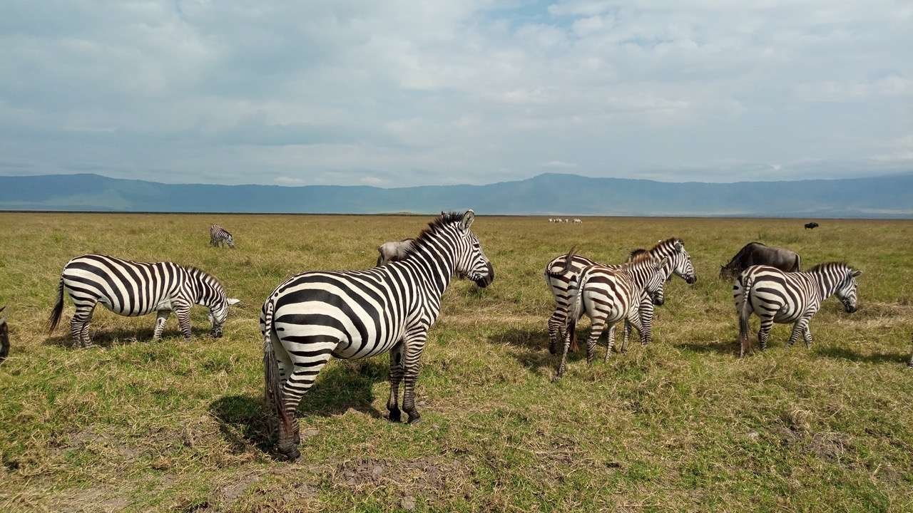 Best time to visit tanzania 2