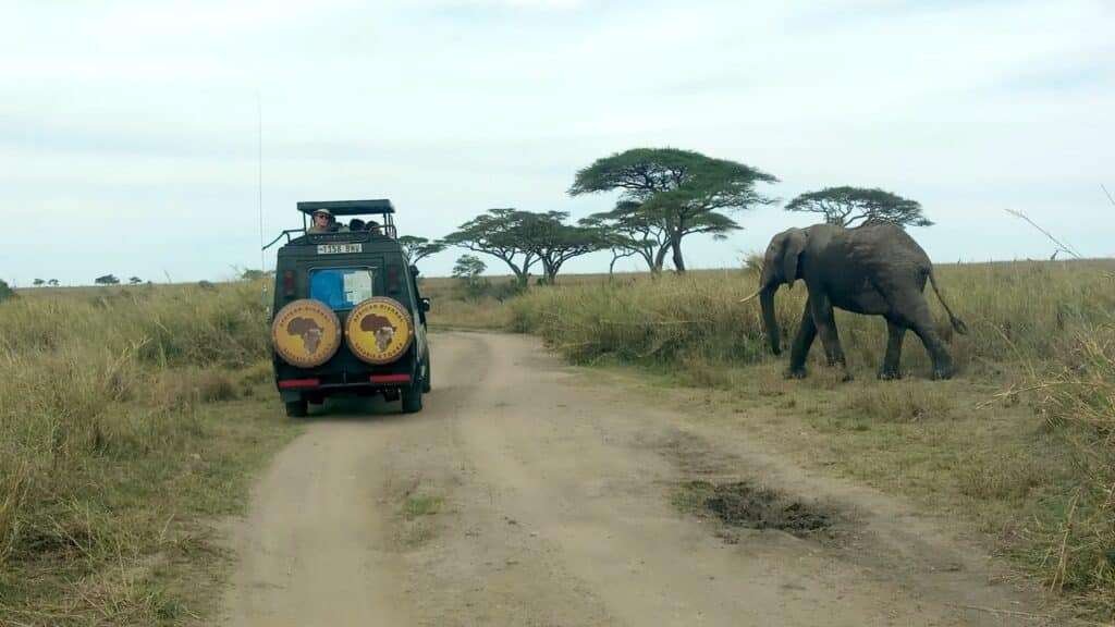 Serengeti National Park 1