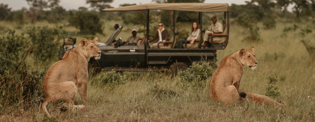 Serengeti National Park Tanzania 1