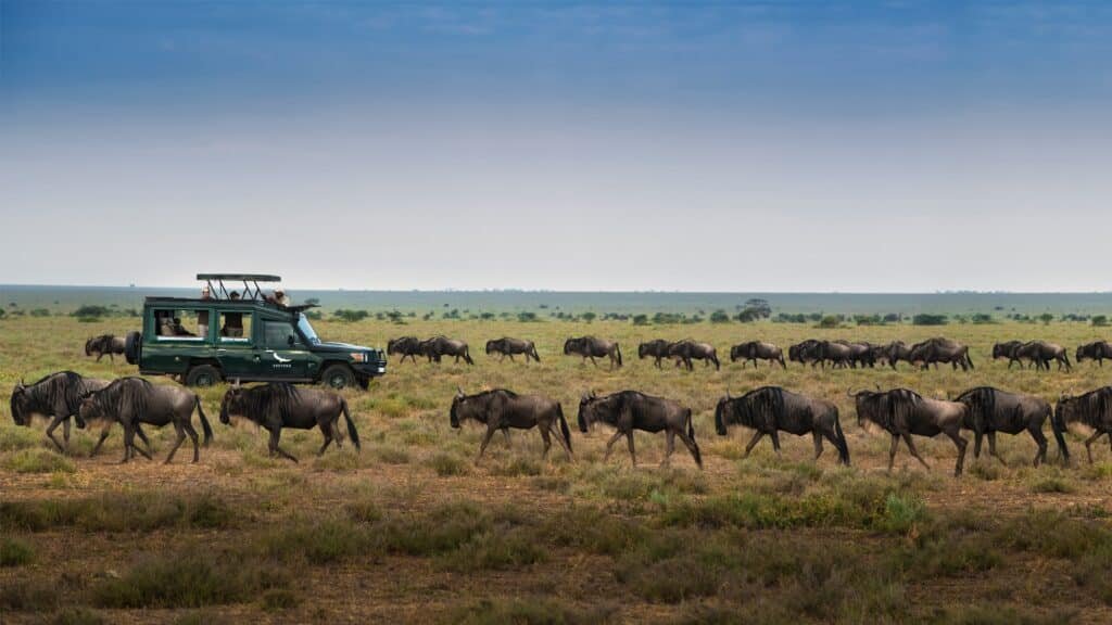 Serengeti National Park Tanzania