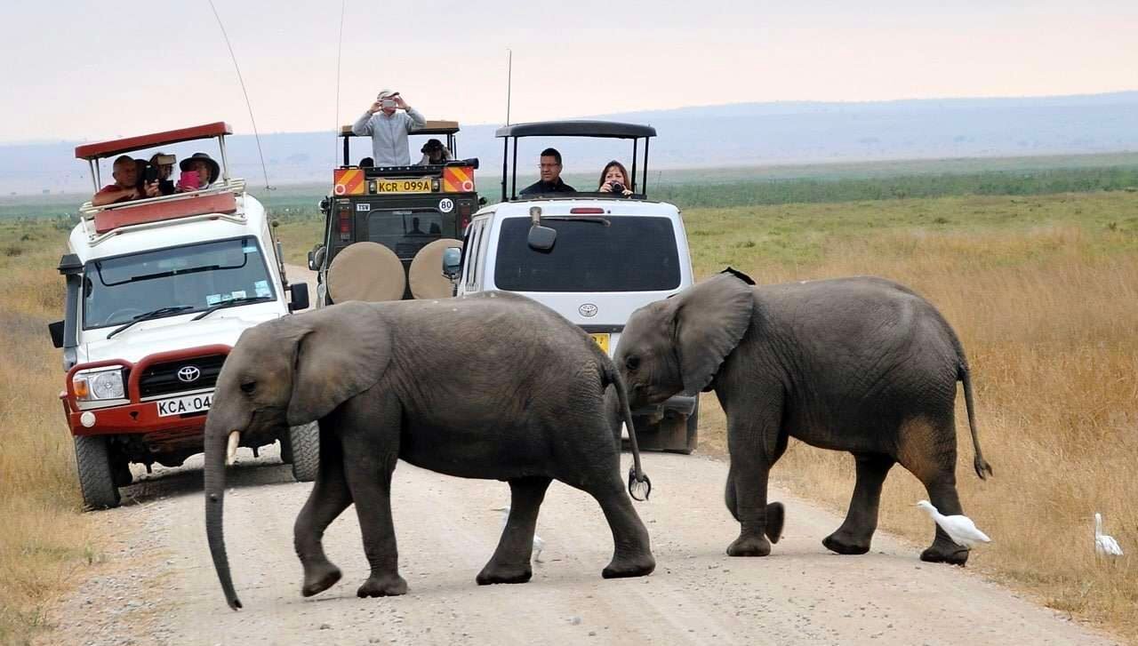 Amboseli National Park