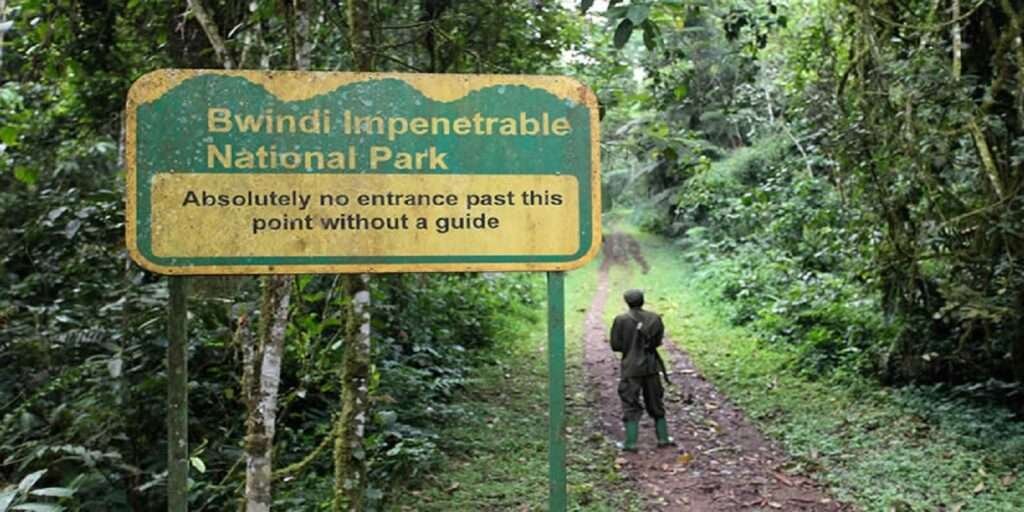 Bwindi Impenetrable National Park