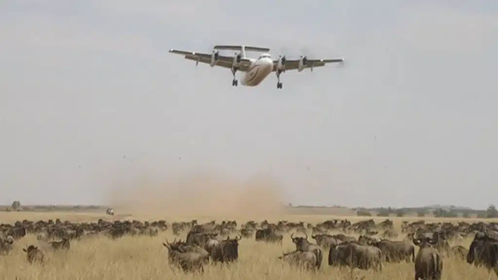 How to get to Msai mara from nairobi 1200x675 1