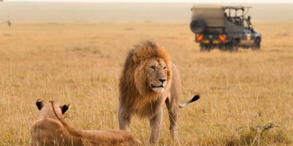 Kenya Luxury Fly in Safari 1