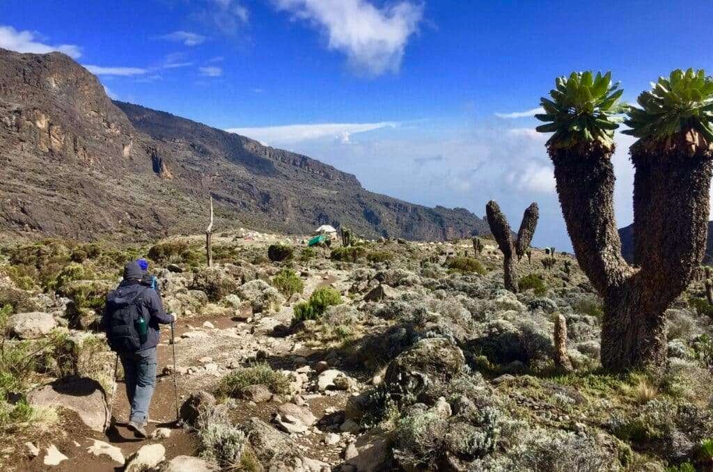 Kilimanjaro Machame Route 3