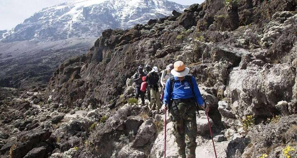 Kilimanjaro Marangu Route 5