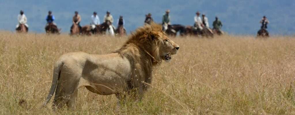 Masai Mara 3