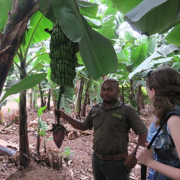 Mto wa Mbu Cultural Tour Big 5 Tanzania Family Safari 2