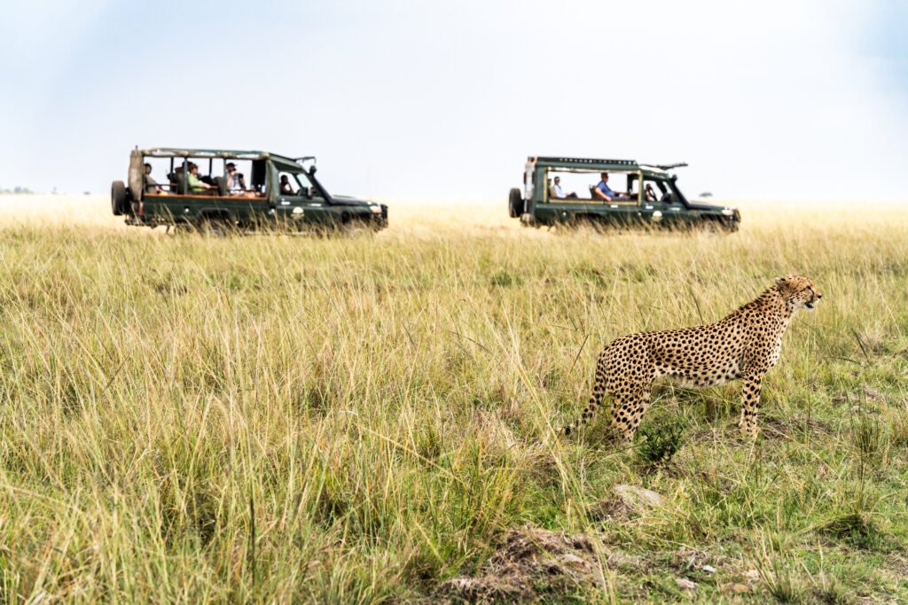 Kenya Safari & Diani Beach Holiday