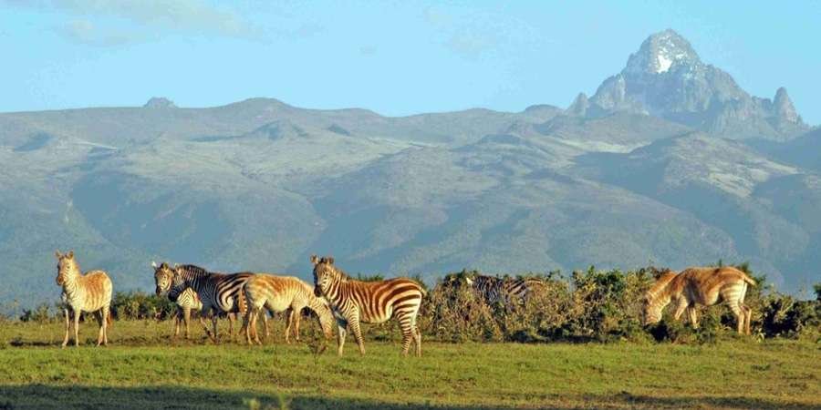 Samburu National Reserve