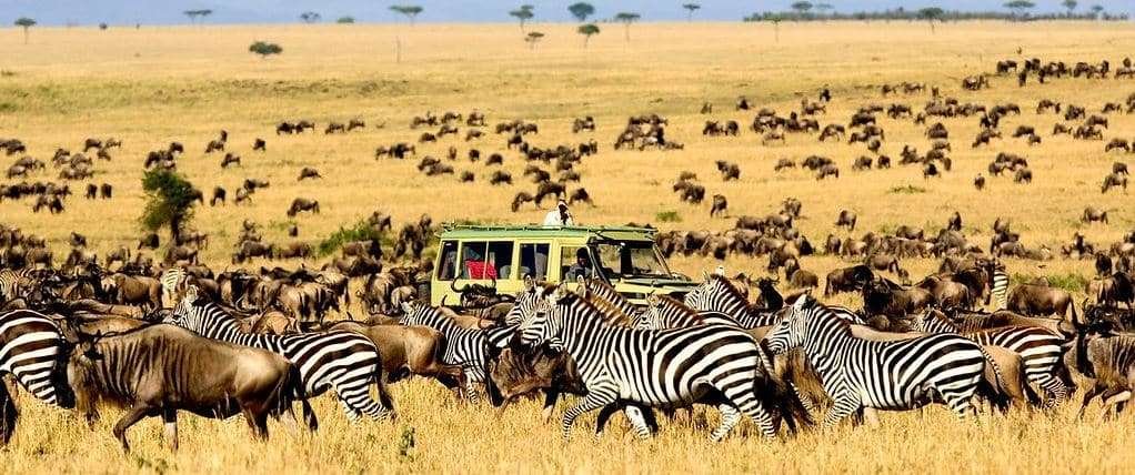 Serengeti National Park