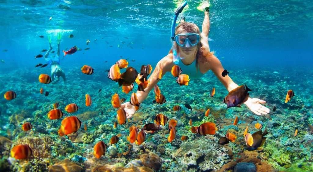 Snorkeling Scuba Diving