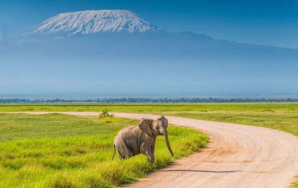 amboseli national park 1110x700 1