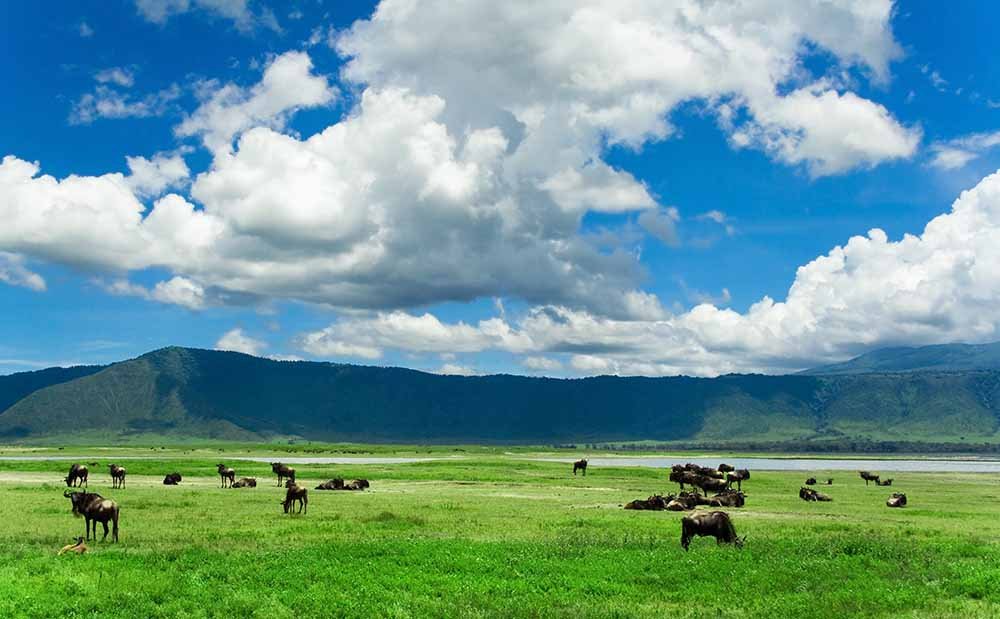 ngorongoro 2