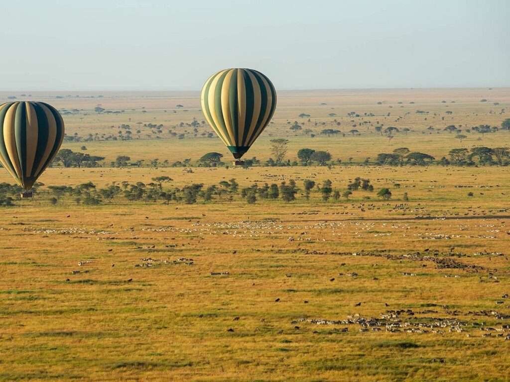 serengeti can be teeming