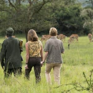 walking safari