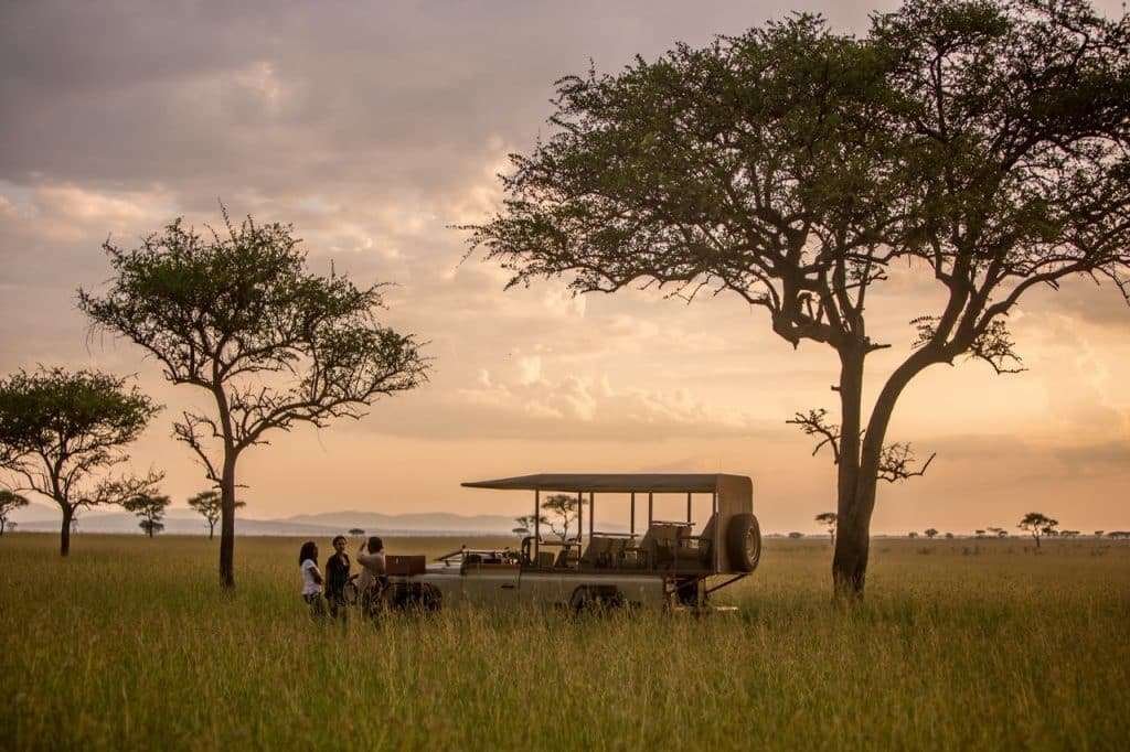 tanzania safari 