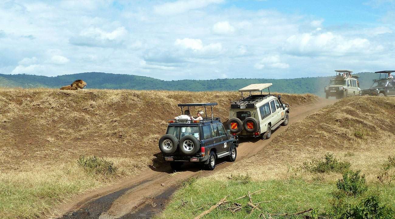 Driving Safaris