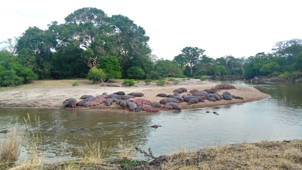 Grumeti River Western Serengeti Grumeti River Western Serengeti