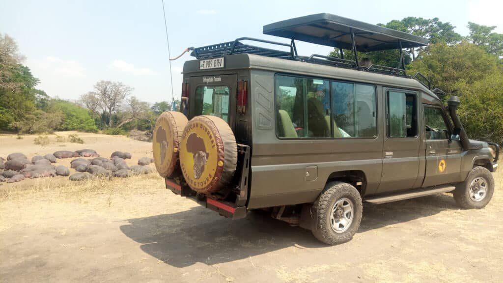 Guided Game Drive Guided Game Drive for Things to Do in Serenmgeti National Park