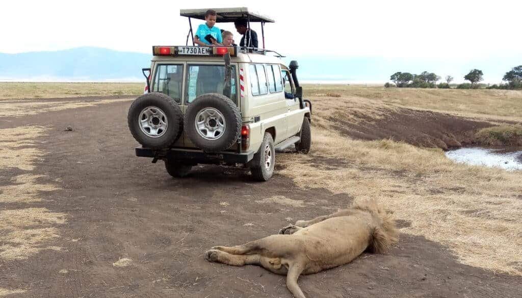 Ngorongoro Crater Safari (2)