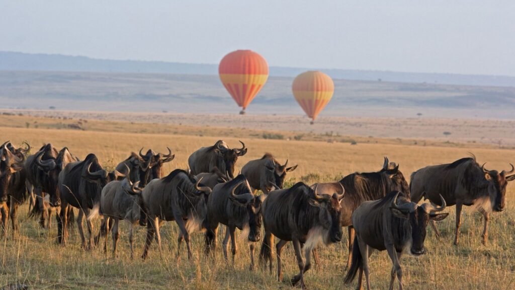 The Great Migration in June and July