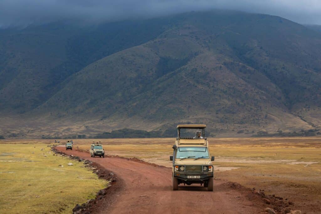 How to Plan your First Safari Vacation in Africa