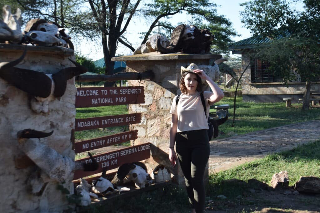 African Safari Destination