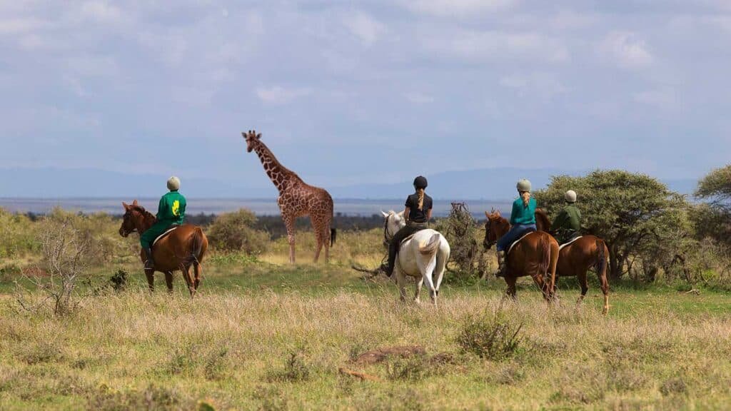 Kenya's Wildlife, Riding & Barefoot Beach