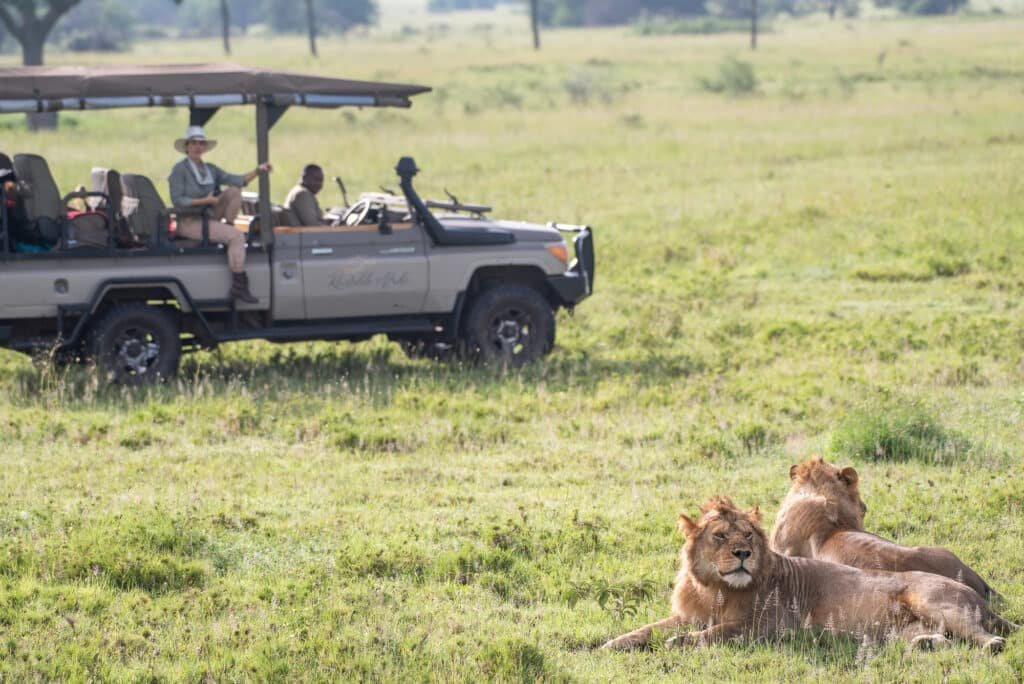 Game Drive in Musabi Plain