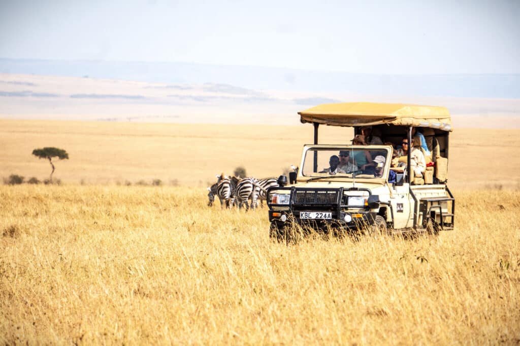 Private Game Drive in Masai Mara
