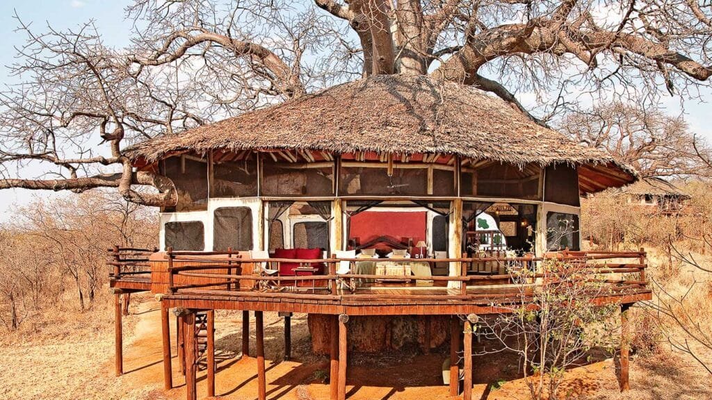 Luxury Safari Lodge-Tarangire Treetops
