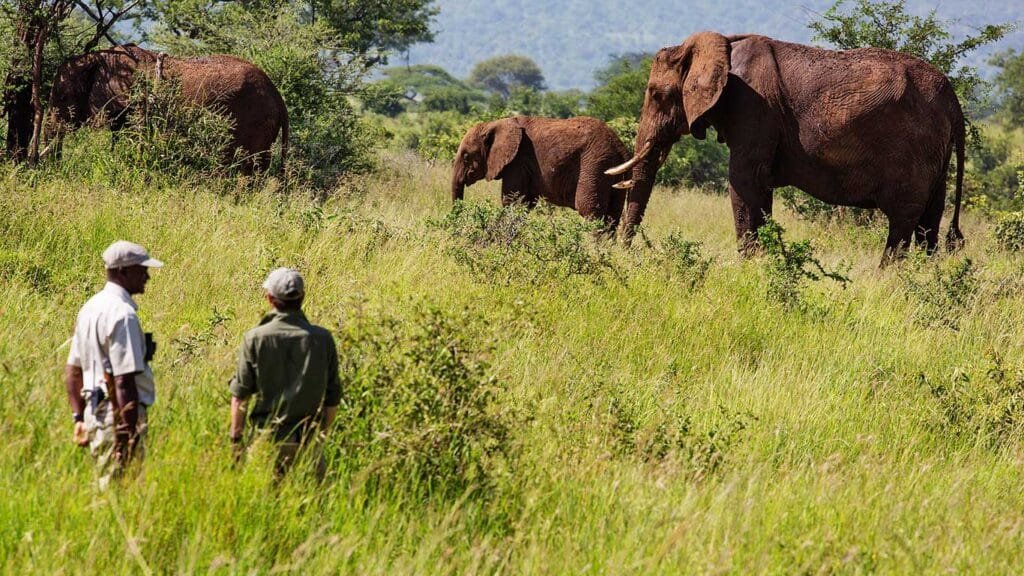 Top 10 Best Places to Visit in East African 