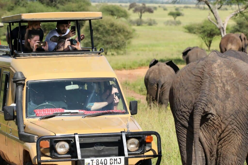 Serengeti Luxury Safari from Mwanza (2)