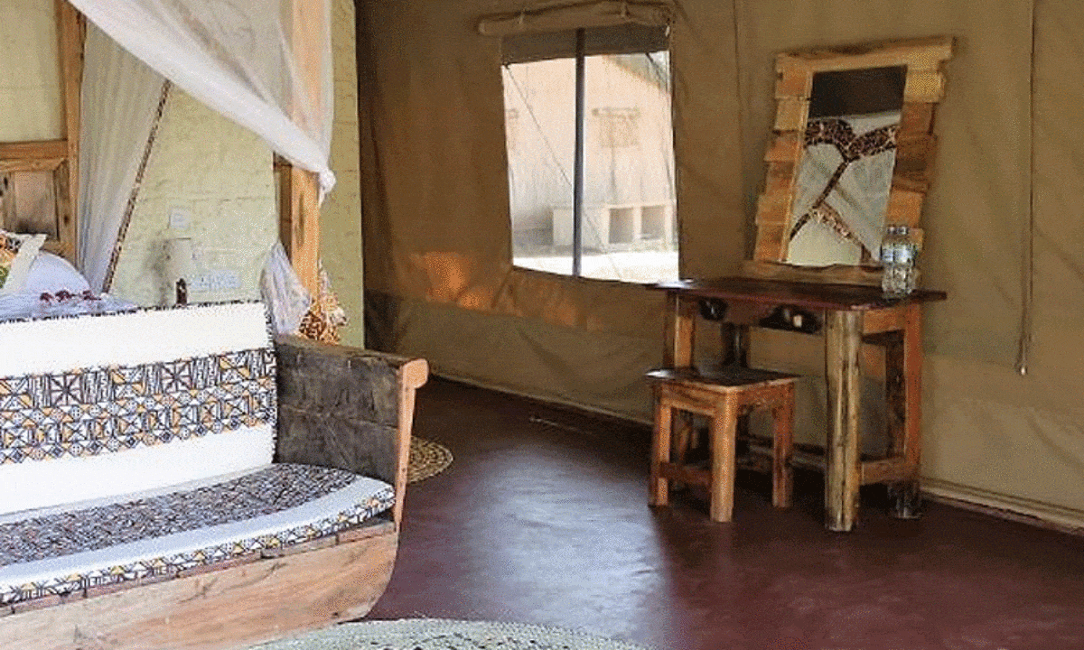 Africa Safari Lake Natron