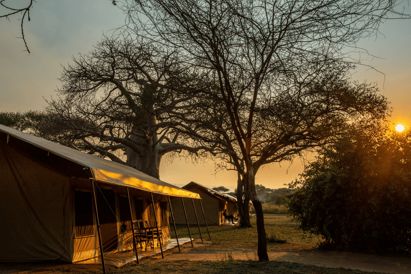 Baobab Camp - Tarangire