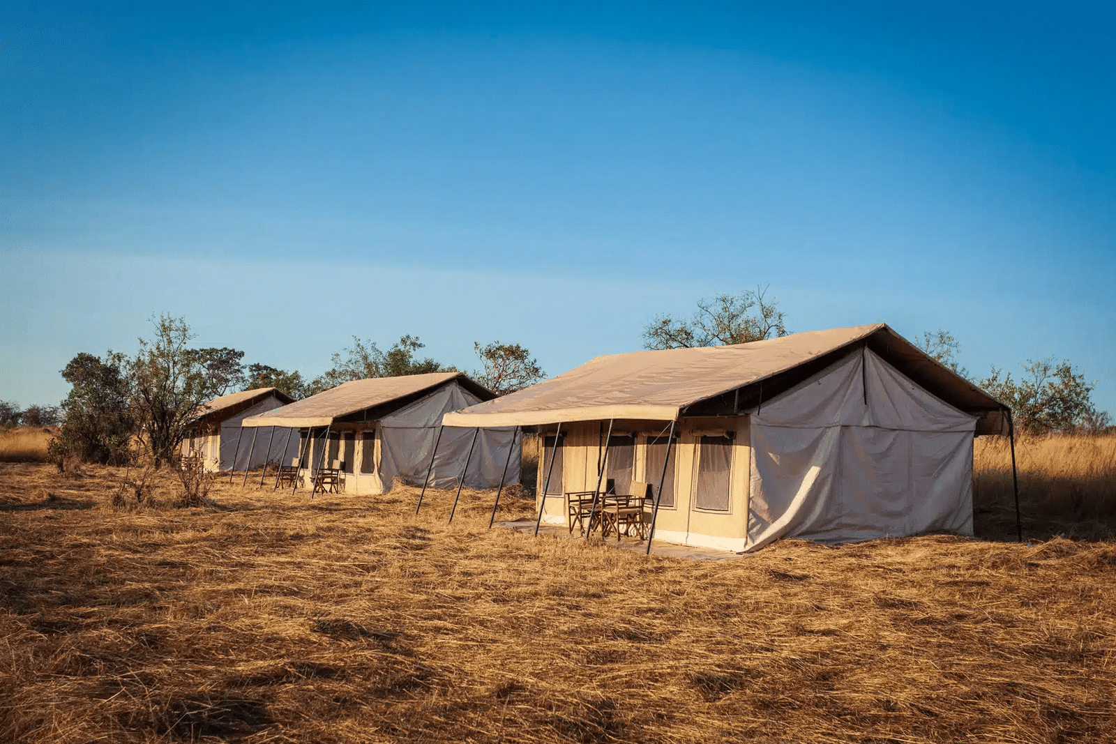 Gnu Mara River Camp