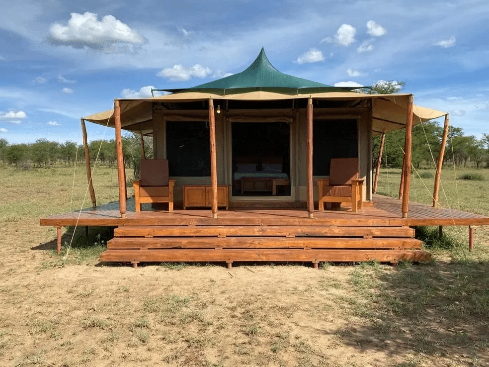 Into Wild Africa Camp 4