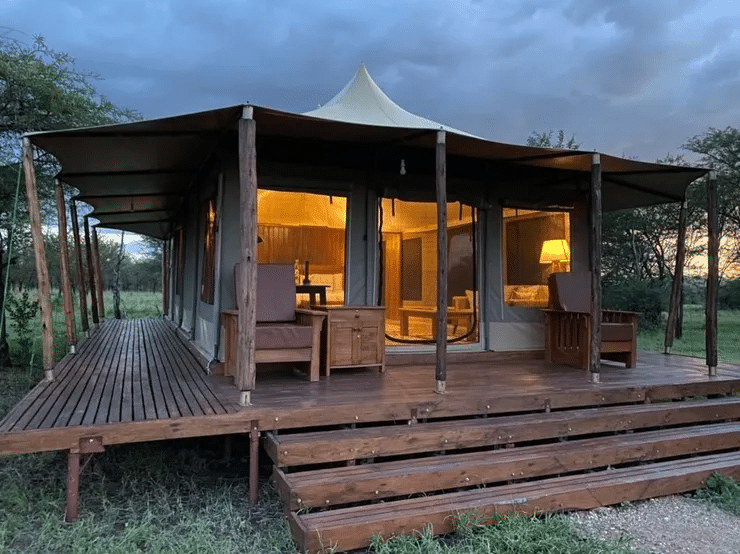 Into Wild Africa Camp