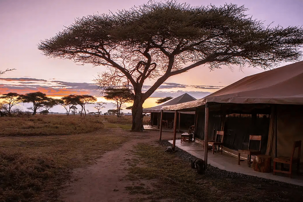 Mawe Tented Camp 2