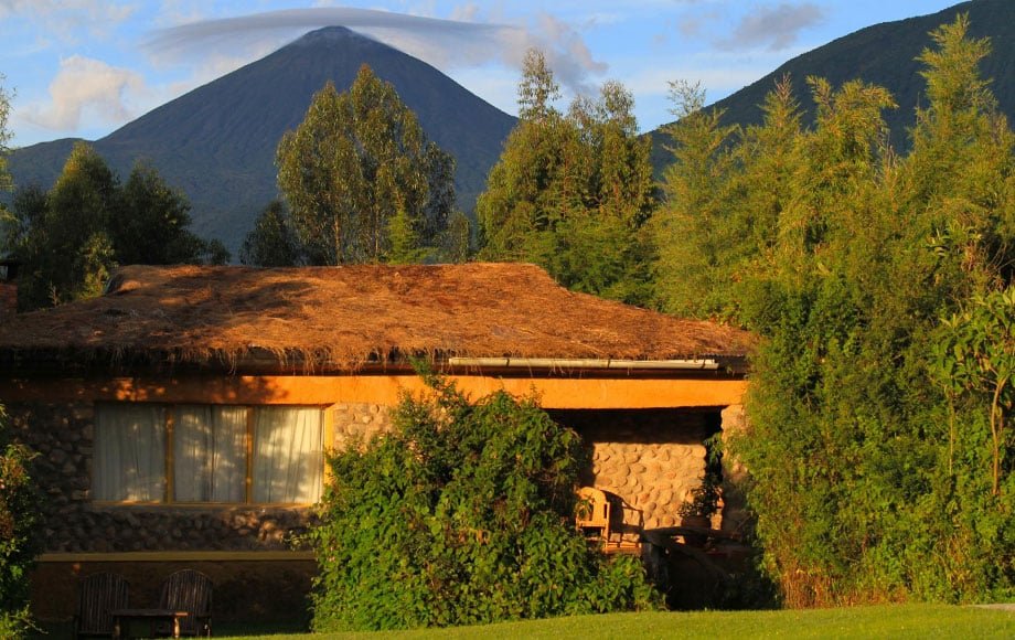 Mountain Gorilla View Lodge 7