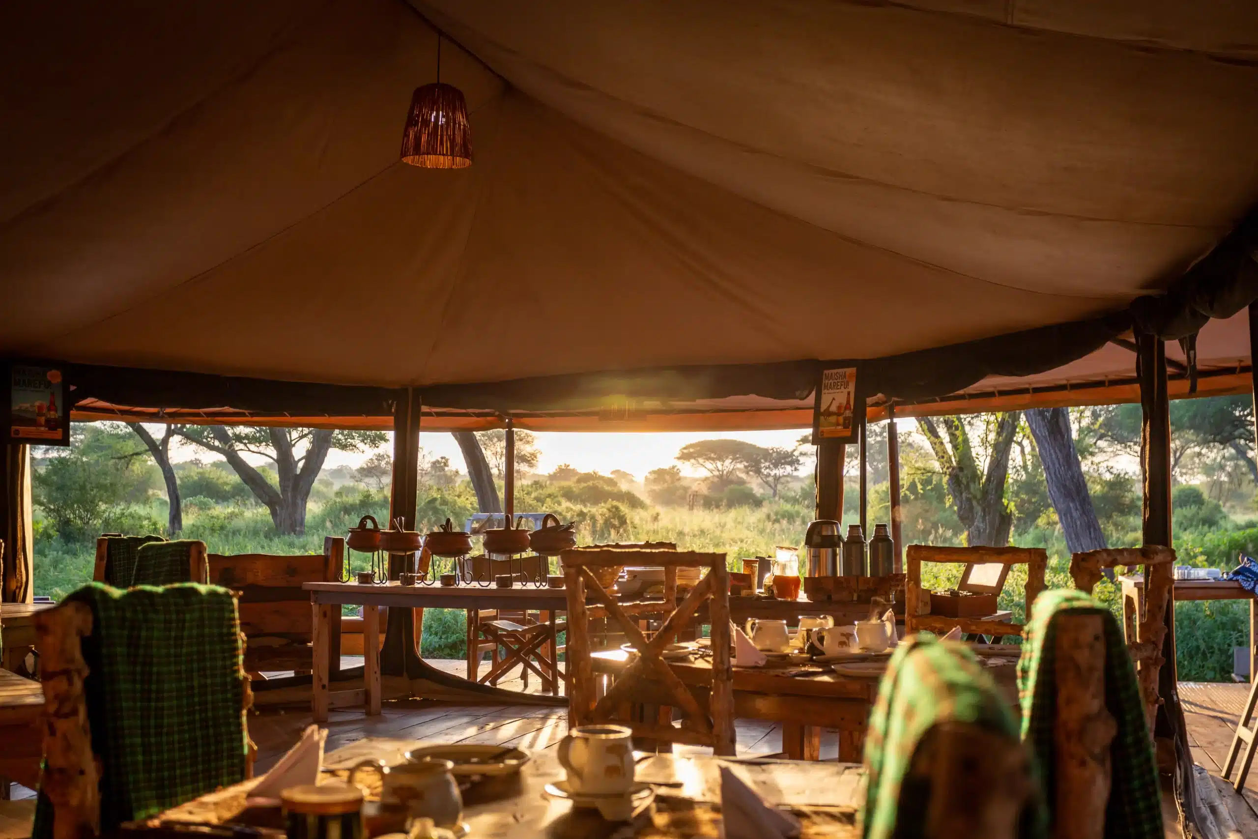 Tarangire Baobab Camp 1